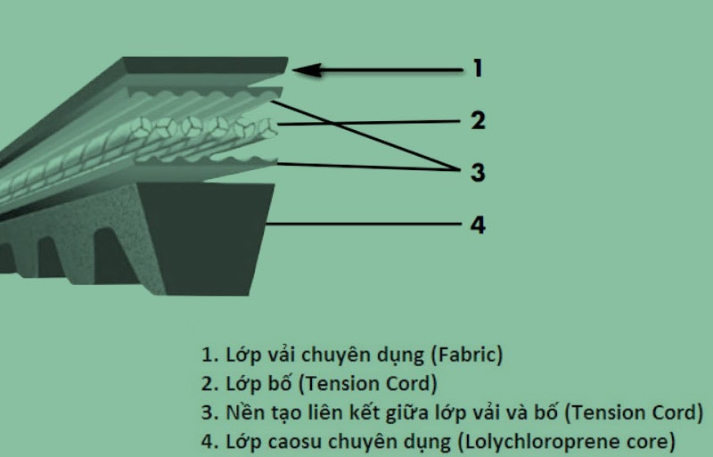 Cấu tạo dây curoa