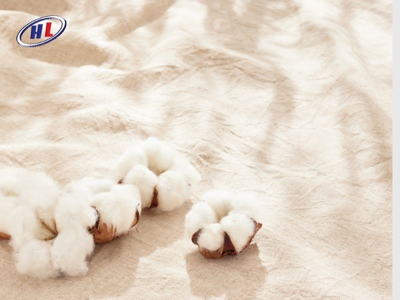 Vải cotton được làm từ sợi bông